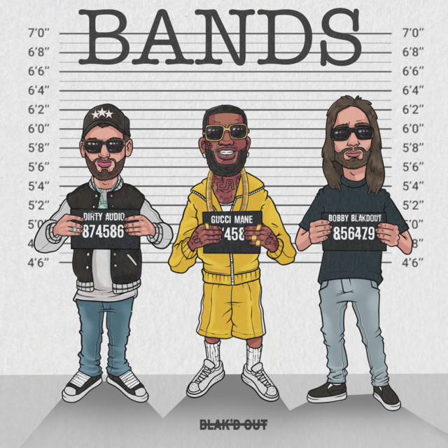 BANDS cover art